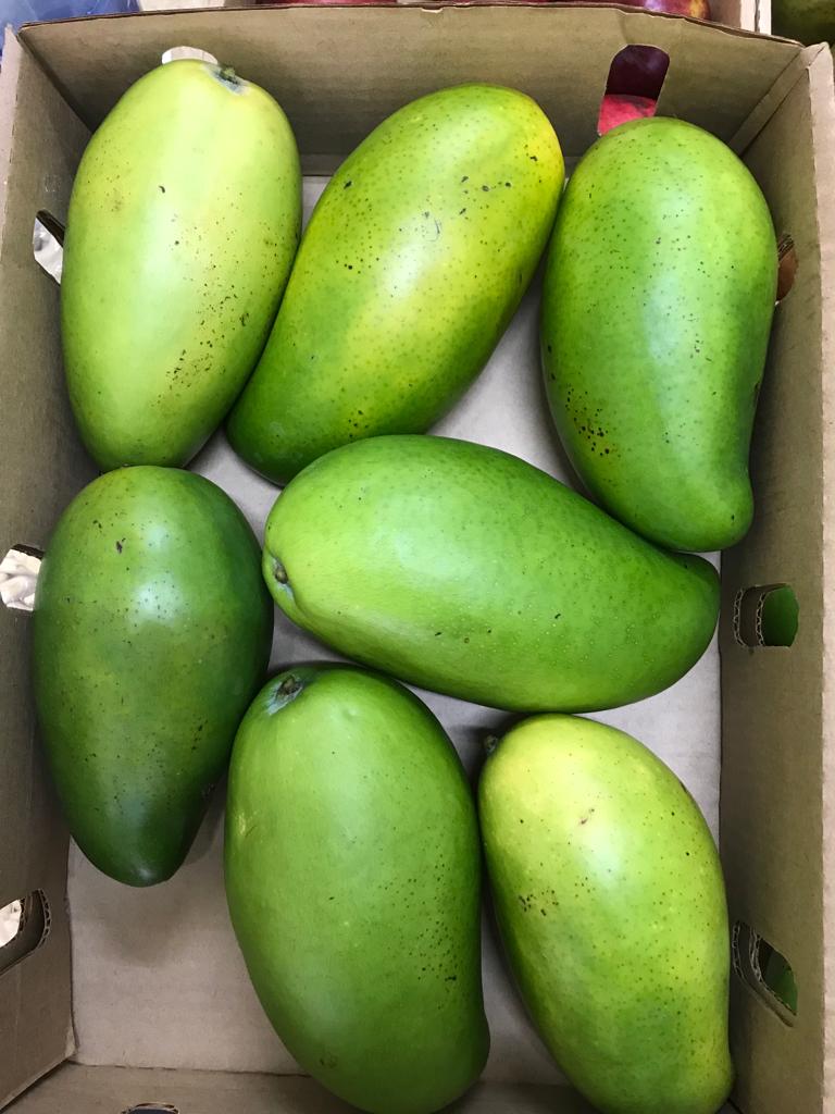 A picture of mangoes harvested